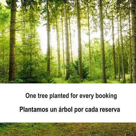Fidalsa Psicomagia Villa *